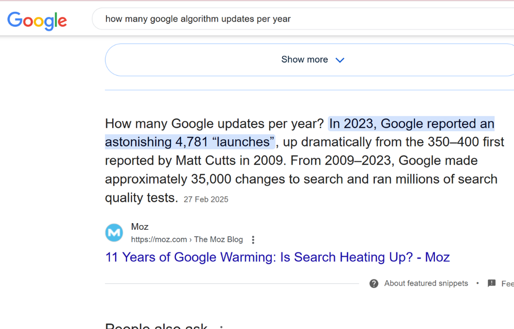 NUMBER OF GOOGLE UPDATES PER YEAR