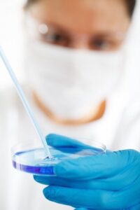 person in mask and gloves holding a petri dish