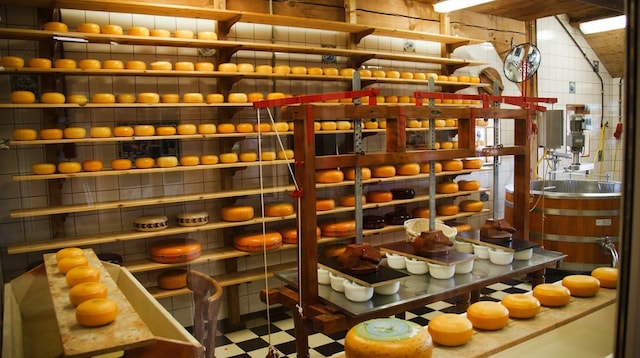 Supply Chain Management Cheese Factory