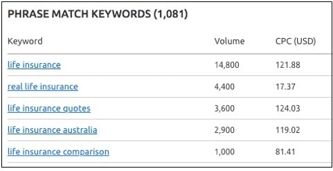 Website Design SEMrush Search Two