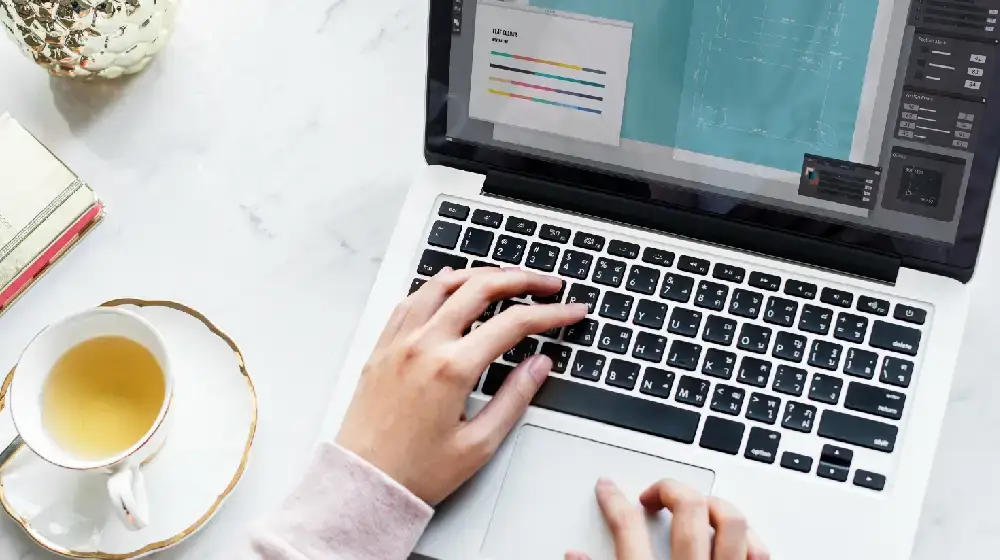 escolher melhor tema wordpress