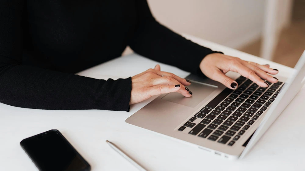 newsletter wordpress