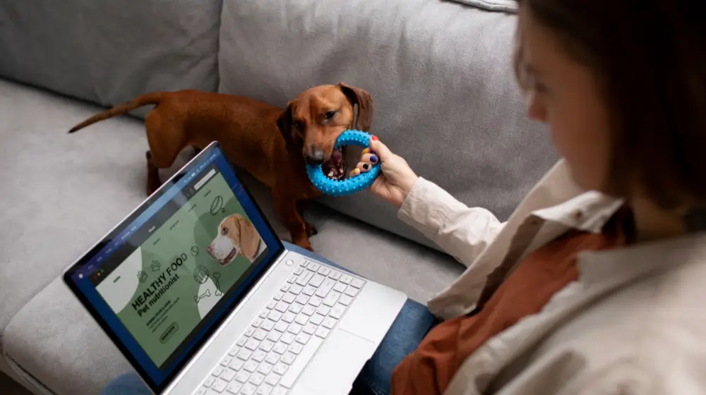 Como montar/abrir um pet shop online