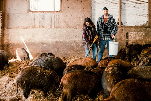 Charles et Nathalie travaillant à la Ferme Sanglier Des Bois