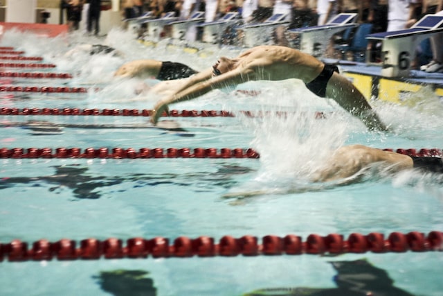 Competitive swimmers at work