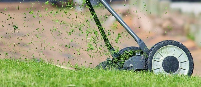 Lawn mower throwing bits of grass behind it