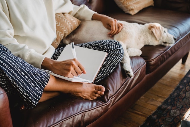 Person on couch writing in notebook with hand on nearby dog