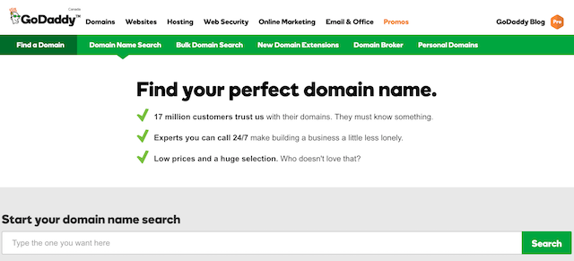 Pick A Domain Name