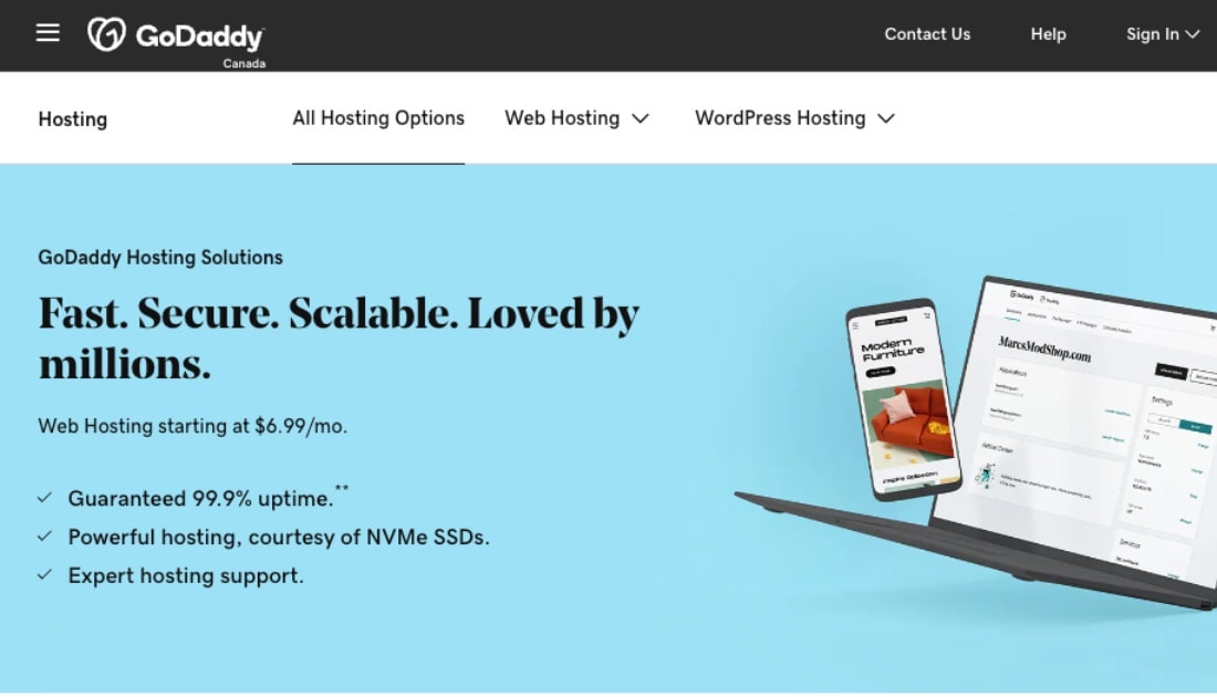 GoDaddy web hosting