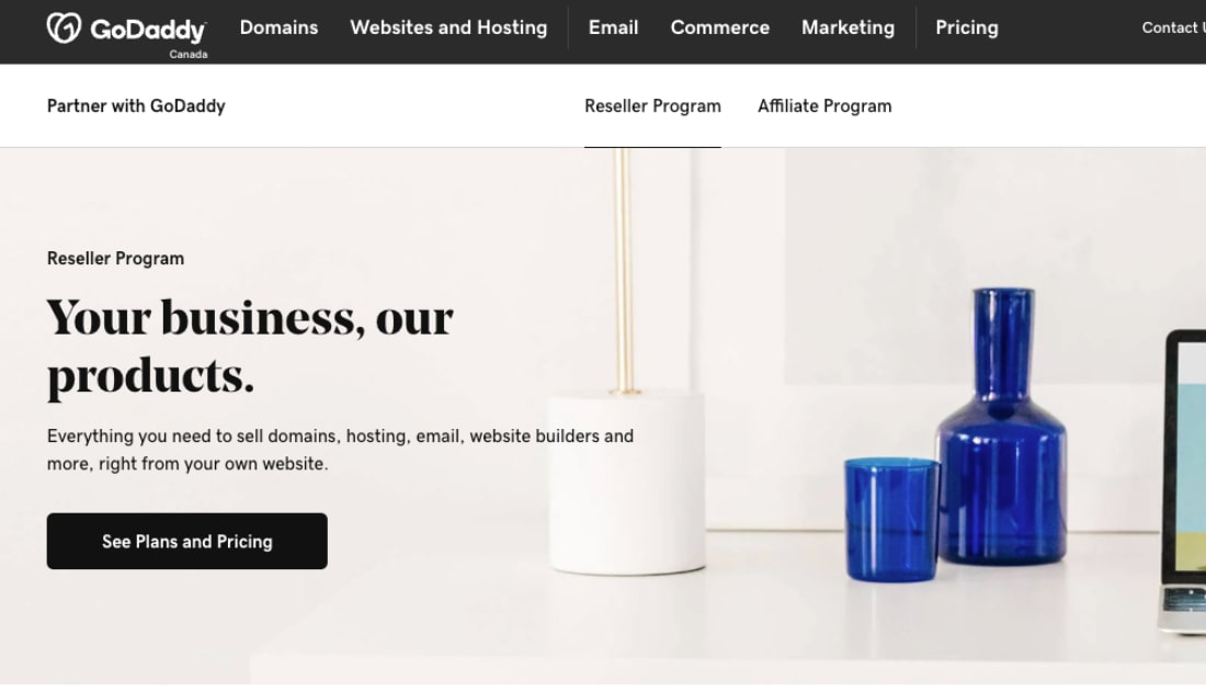 GoDaddy Reseller landing page