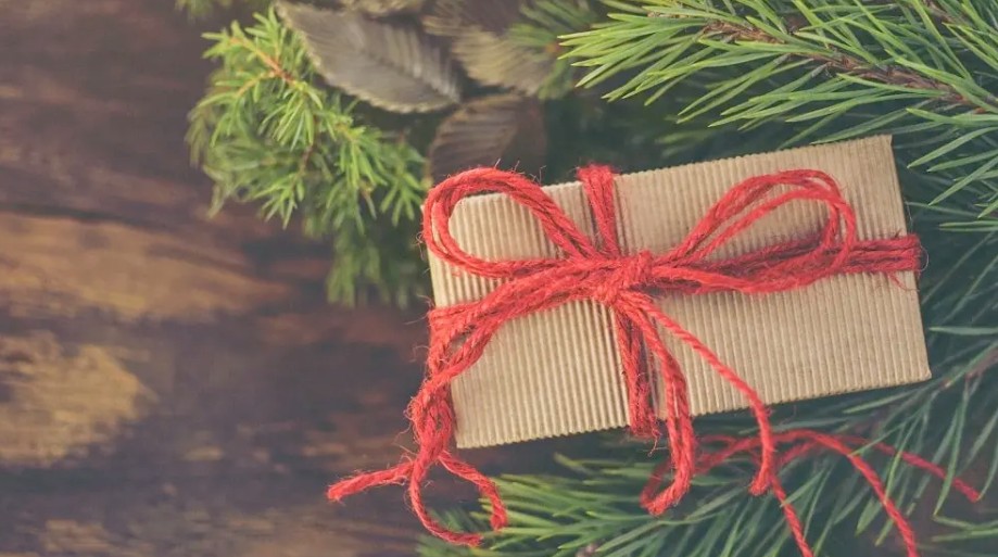 A Wrapped Gift Sits on a Pine Bough