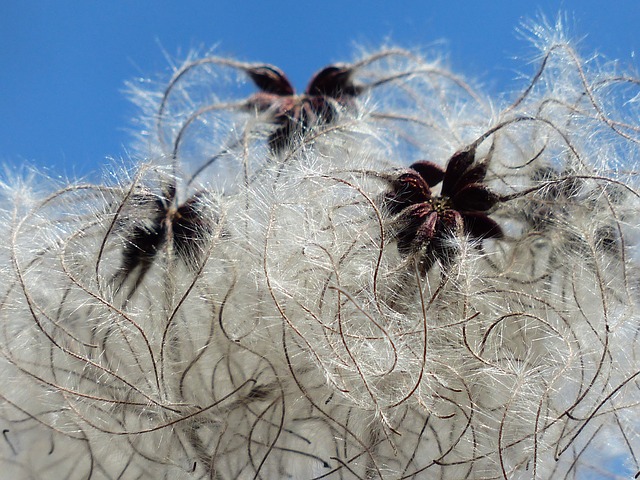 Spring Cleaning Tips Hairy Mess