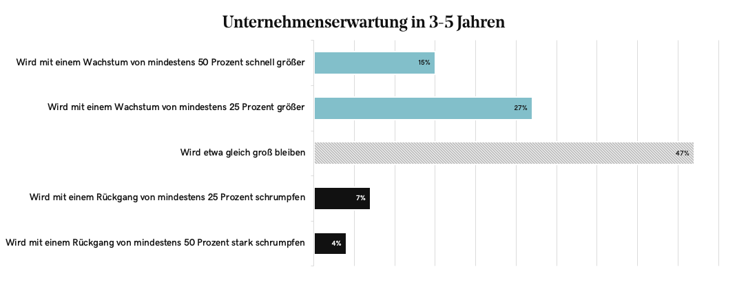 Quelle: 2020 Global Entrepreneurship Survey von GoDaddy