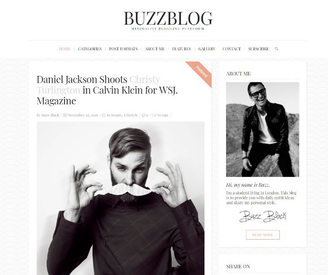 Abbildung - Resonsive WordPress-Theme Buzzblog