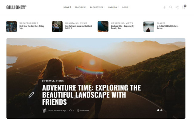 Abbildung - Resonsive WordPress-Theme Gillion