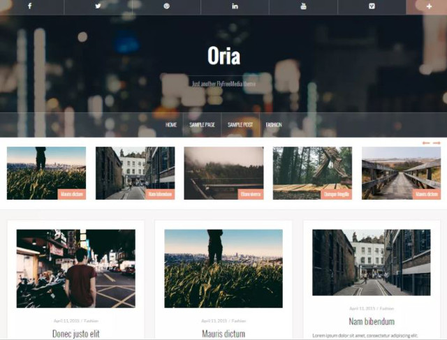 Abbildung - Resonsive WordPress-Theme Oria