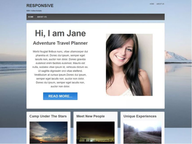 Abbildung - Resonsive WordPress-Theme Responsive