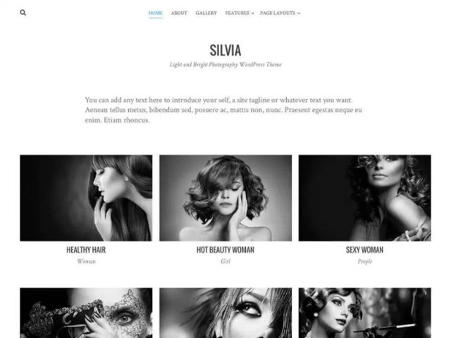 Abbildung - Resonsive WordPress-Theme Silvia