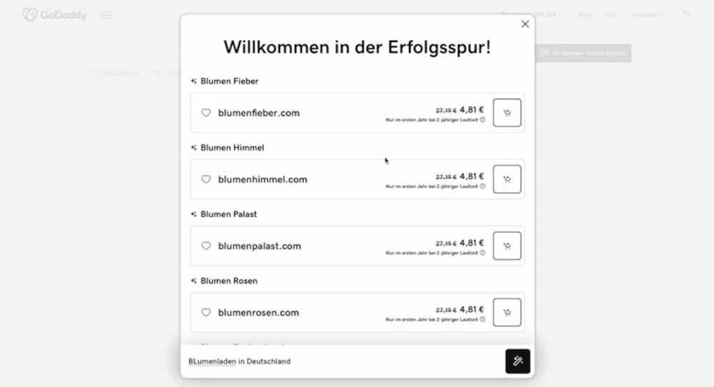 Abbildung2 - So hilft dir GoDaddy Airo bei der Domainfindung