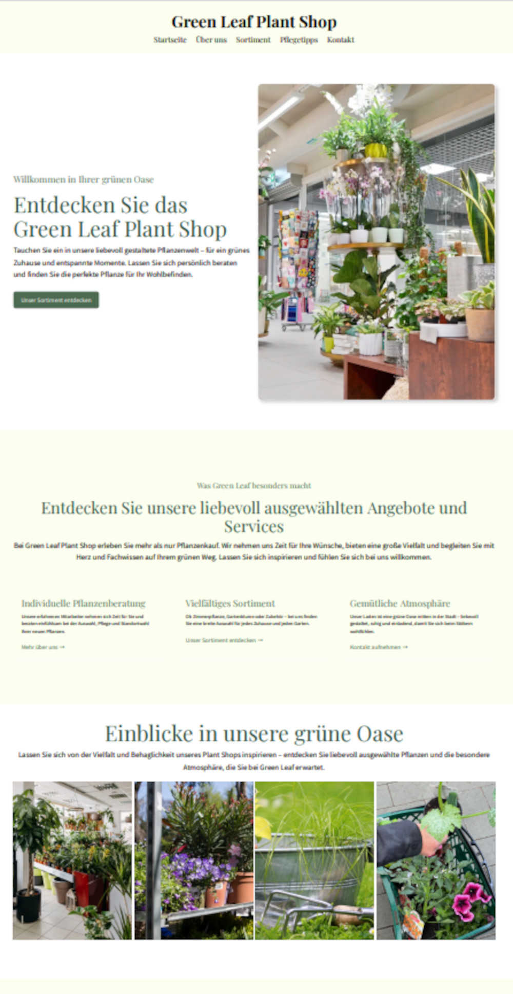 Abbildung: Fertige Webseite
