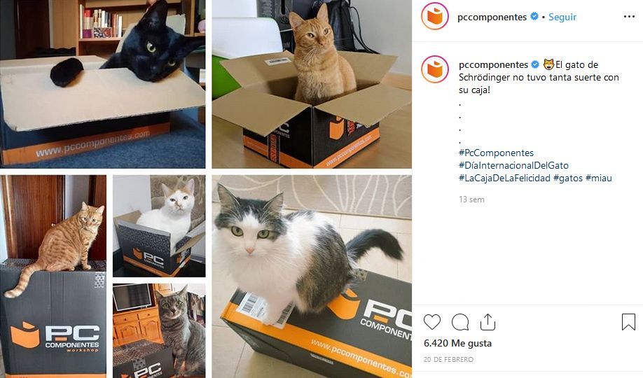 Imagen de la cuenta de PC Componentes sobre el Día Internacional del Gato