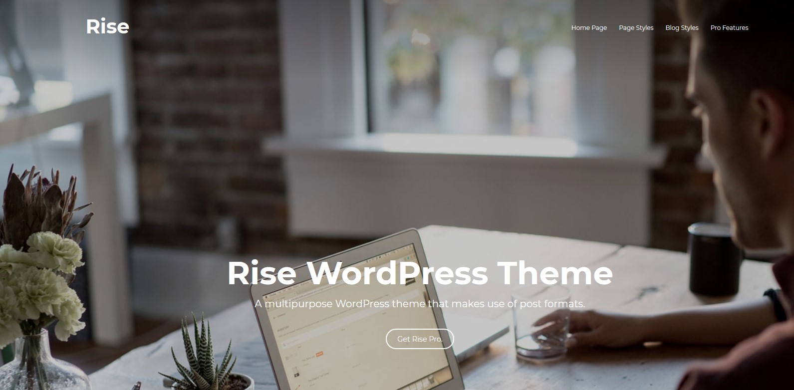 Mejores plantillas gratis de WordPress Rise