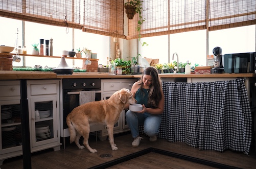 Entrevista Mi Perro Come Barf