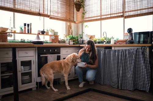 Entrevista Mi Perro Come Barf