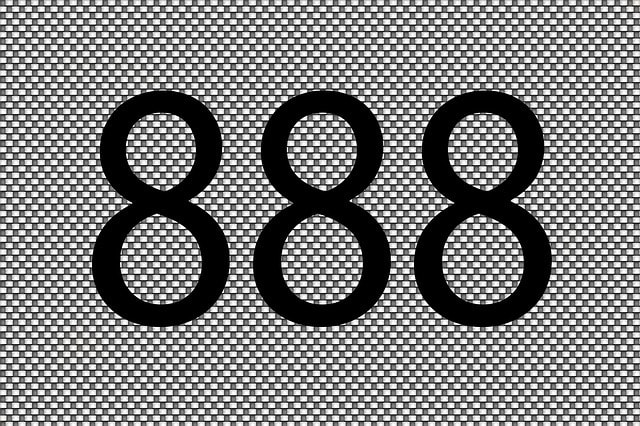 Business Name Numerology 8 8 8