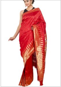 SEO Basics Woman Modelling Paithani Saree