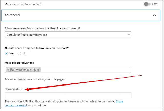 WordPress SEO Adding Rel Canonical Tag in Yoast