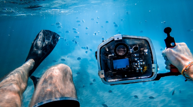 How to Start a Photography Blog Underwater