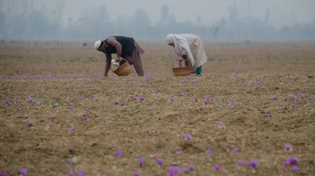 Manufacturing Business Ideas Organic Farmers in Field