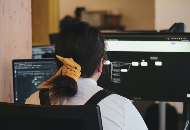 Programmer seen from behind working at a computer