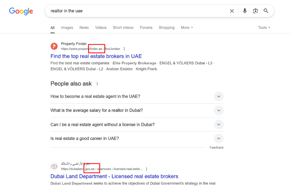 .ae domains ranking top on localized SERPs