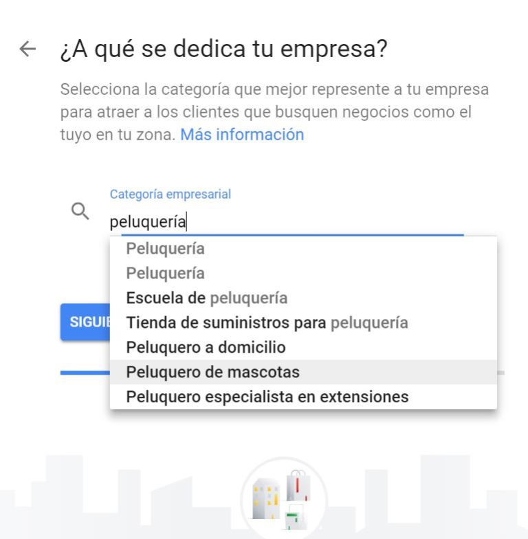 Categoria Google MyBusiness