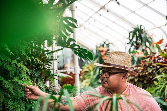 John Melicor, propietario de Urban Plant Shop, en un invernadero