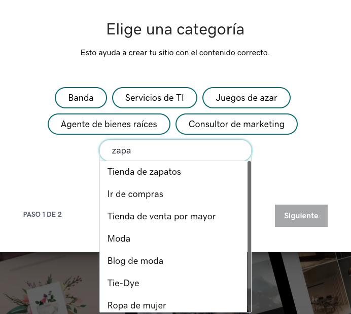 Elige la categoría de tu tienda online en el creador de GoDaddy.