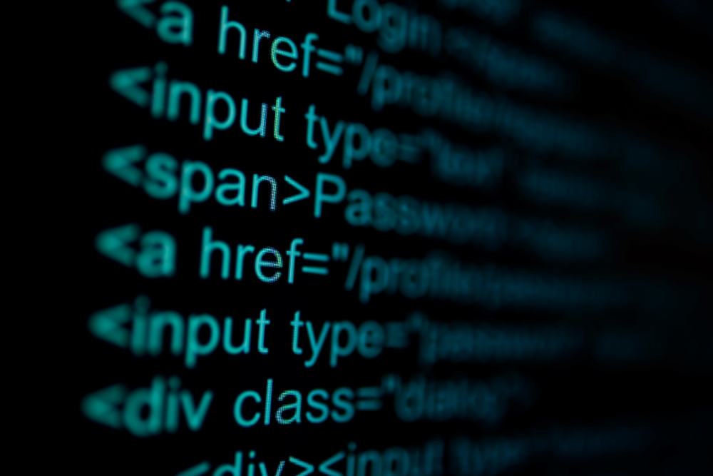etiqueta input