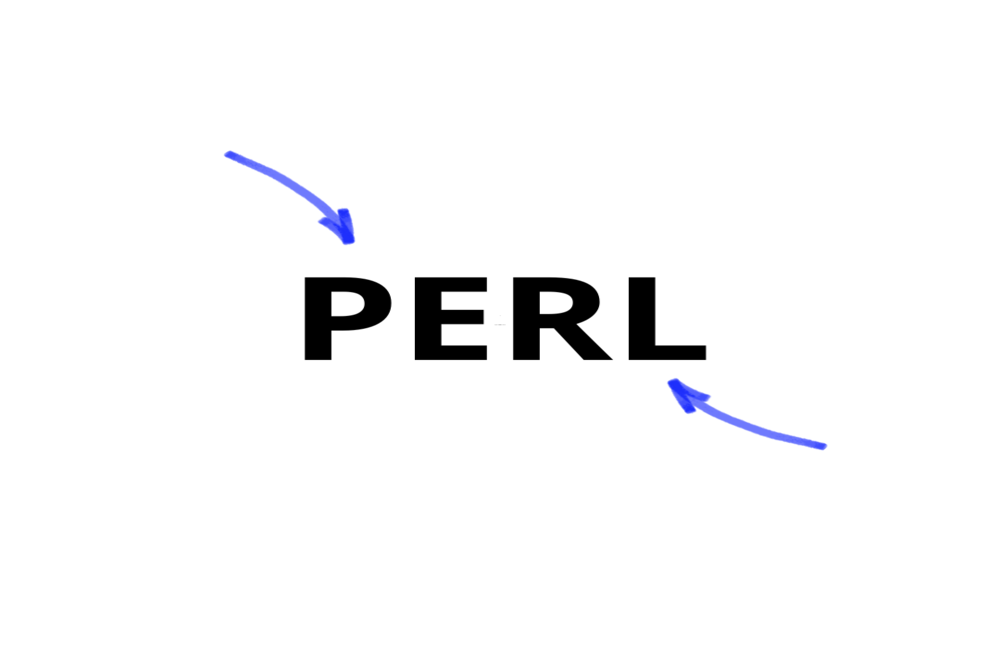 Perl: Qué es y por qué es importante este lenguaje de programación