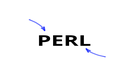 Perl: Qué es y por qué es importante este lenguaje de programación
