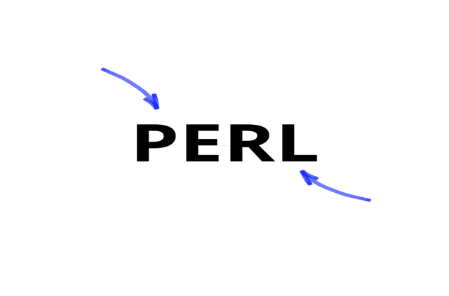 Perl: Qué es y por qué es importante este lenguaje de programación