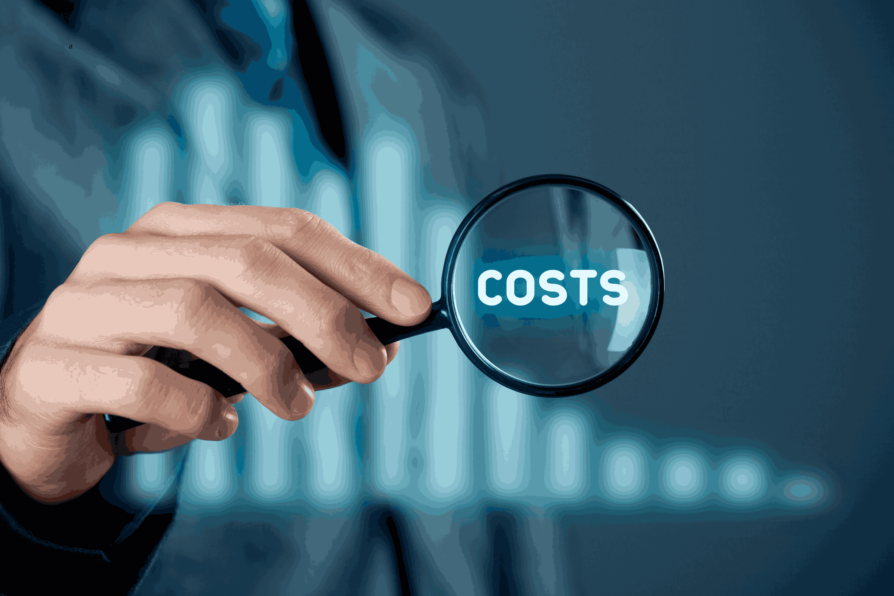 coste pagina web mexico