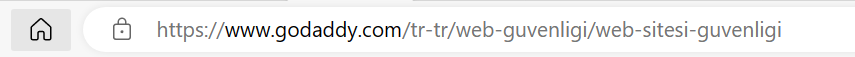 SSL ile korunan bir sitenin nasıl göründüğüne dair örnek