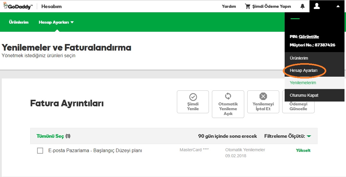 alan adı otomatik yenileme godaddy hesap ayarları