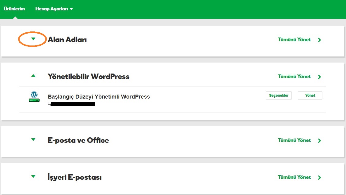 alan adı otomatik yenileme godaddy hesabı ürünler