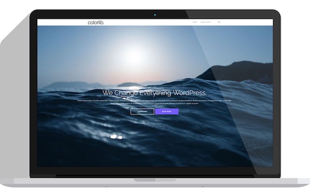 Shapely WordPress Teması