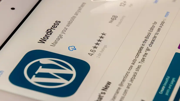 WordPress Hosting