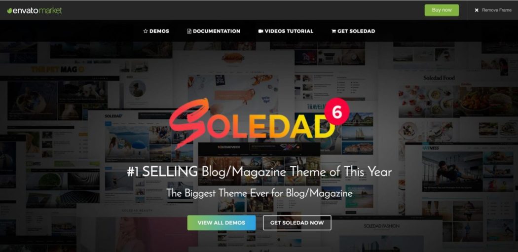 ücretsiz WordPress temaları Soledad teması