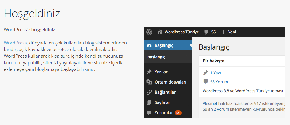 Web sitesi kurulumu WordPress